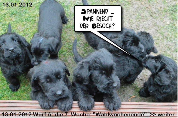 Die 7. Woche