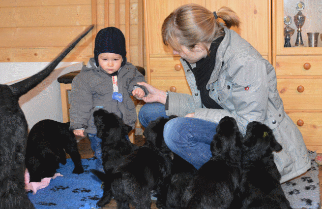 Super, auch kleine Menschenwelpen kommen zu Besuch!