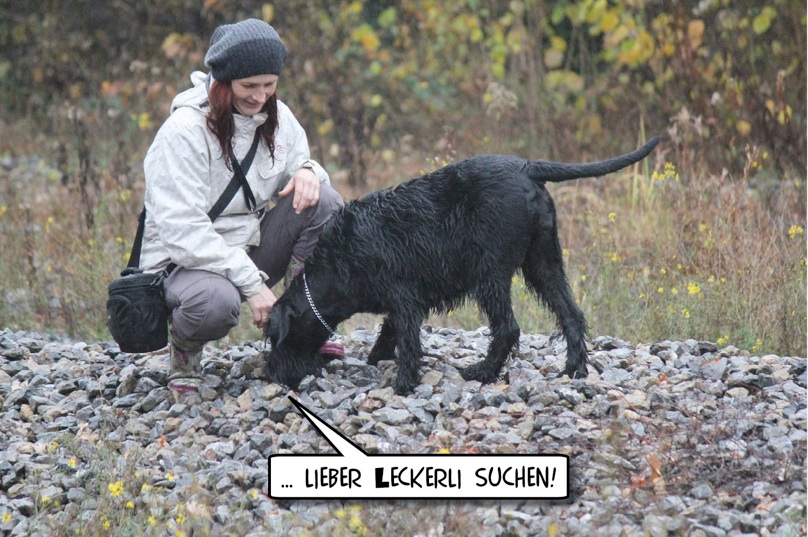 "Montez Lola von Ermada" möchte lieber Leckerli suchen