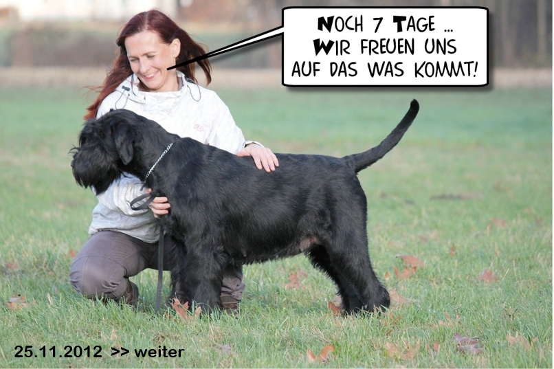 Noch 7 Tage A &minus Wurf