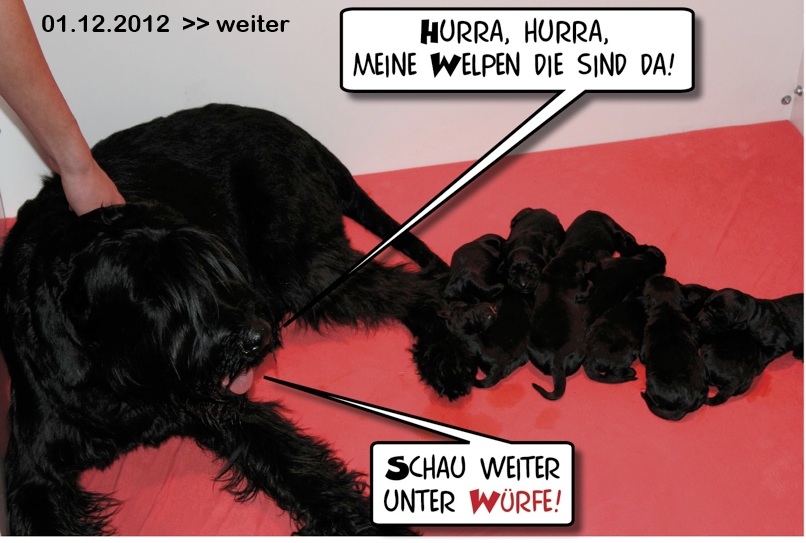 Der A − Wurf ist entlich da!