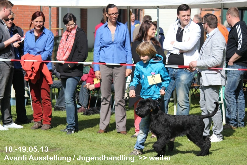 Jan mit "Avanti vom Stolzenstern" beim Jugendhandling