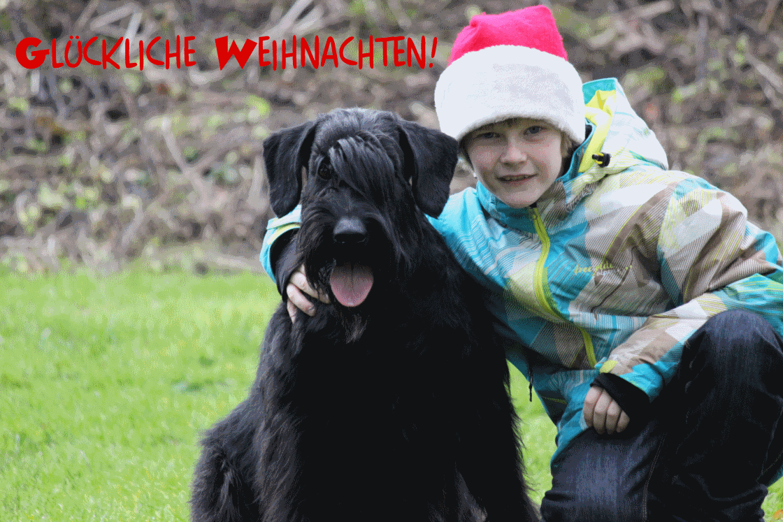 Noch 9 Tage − B − Wurf