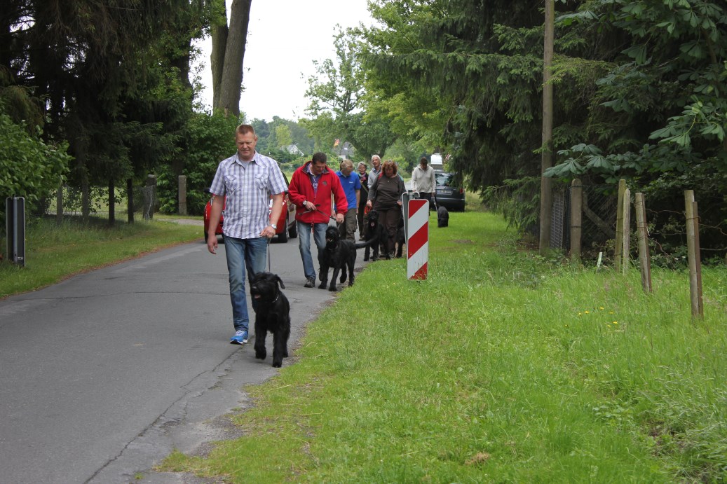 Stolzies beim Spazieren