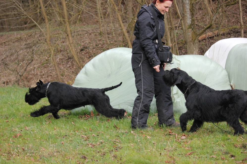 Posen auf weißem Strohballen, Lola und Besta