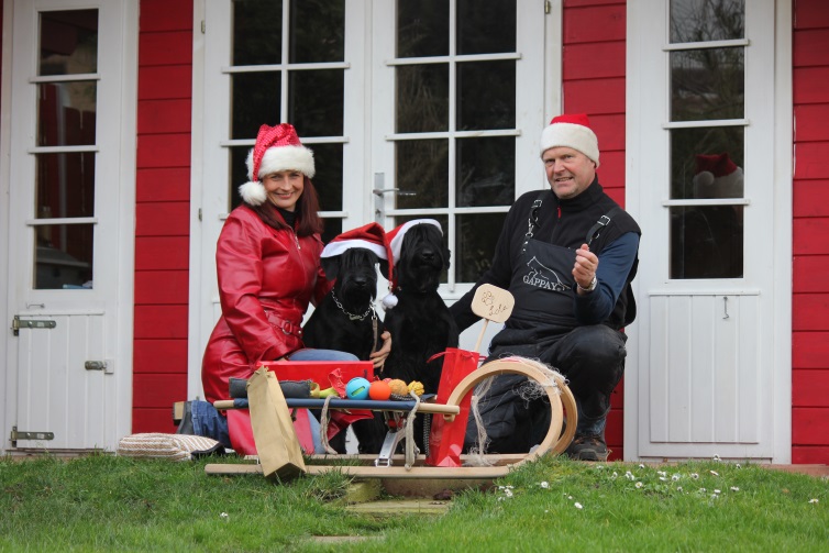 Die ganze Weihnachtsfamilie