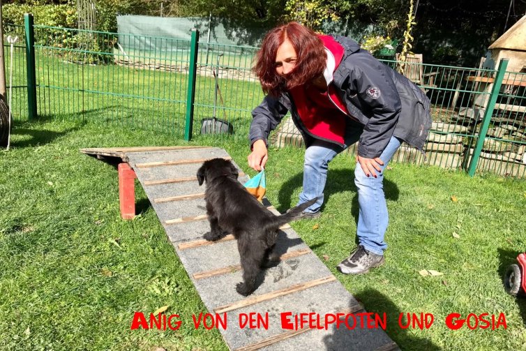 Jan mit Besta