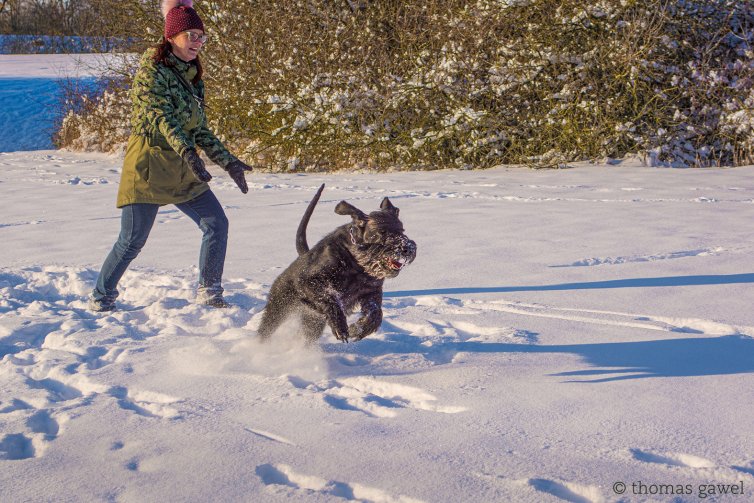 Froher Start ins Jahr 2021 der Schneehasen