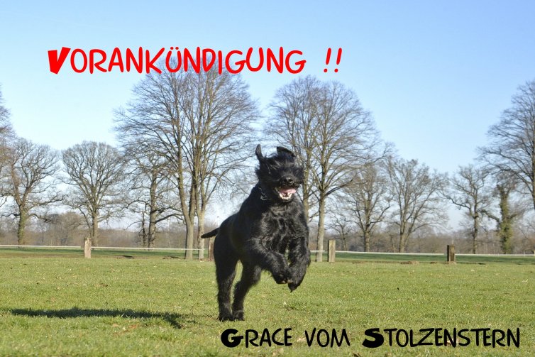 Grace vom Stolzenstern