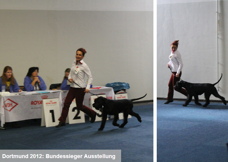 Bilder von der Ausstellung in Dortmund vom 13.10.2012