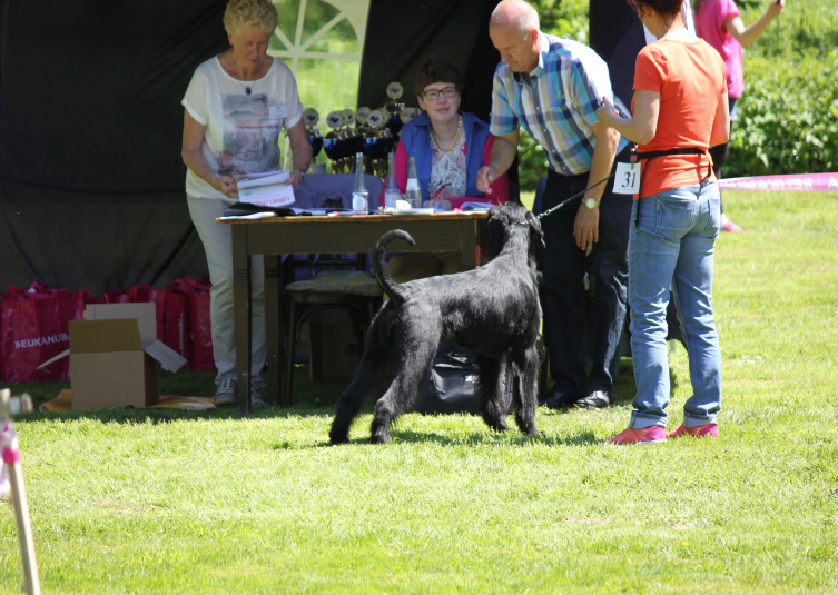 Bilder von der Ausstellung in Witten-Sprockhoevel vom 25.05.2017