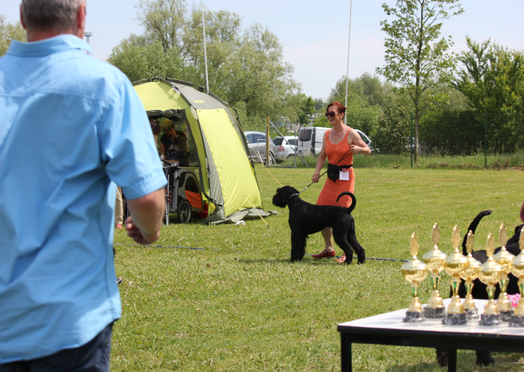 Bilder von der Ausstellung in Rostock vom 27.05.2017