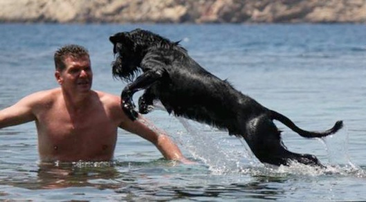 "Amos vom Stolzenstern" spielt mit Herrchen im Wasser