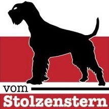 Logo vom Stolzenstern