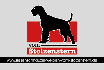 Riesenschnauzer vom Stolzenstern